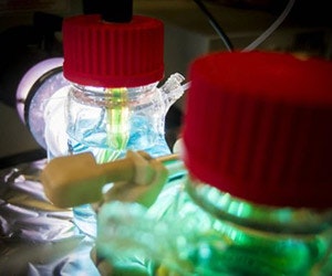 1652313830112 Solarcell Web 300x250