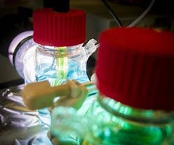 1652313830112 Solarcell Web 300x250 1652313830112 Solarcell Web 300x250