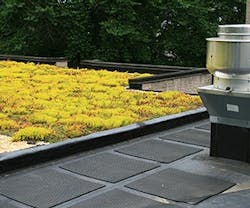1652313961734 B 0415 Newsfeed Greenroof 1652313961734 B 0415 Newsfeed Greenroof