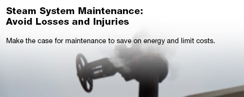 1652314032913 Tem 0513 Leadstory Steam