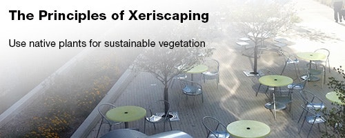 1652314076818 Gf 0422 Leadstory Xeriscaping