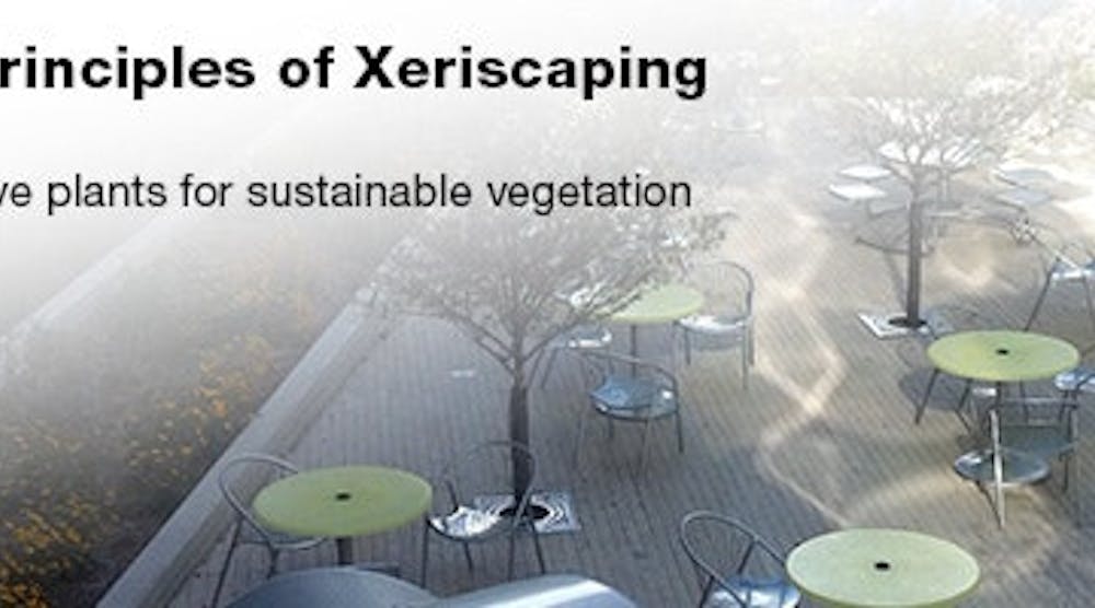 gf_0422_Leadstory_Xeriscaping