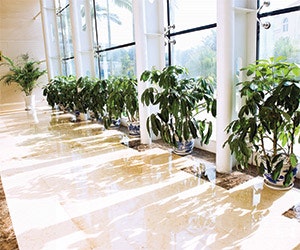 1652314085367 B 0515 Officeproductivity2