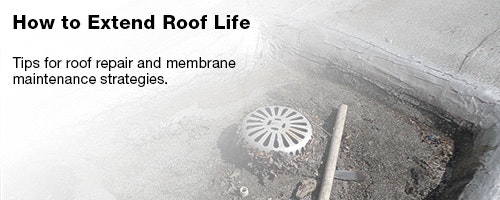 1652314191669 Fss 0216 Leadstory Rooflife