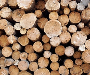 1652314219118 Shutterstock 211441312