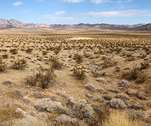 1652314279010 B 1215 Newsfeed Desert