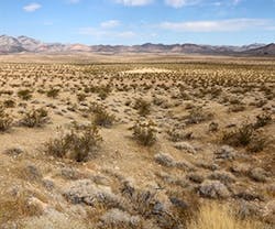 1652314279010 B 1215 Newsfeed Desert 1652314279010 B 1215 Newsfeed Desert