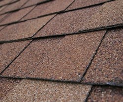 1652314321495 B 1114 Newsfeed Shingles 1652314321495 B 1114 Newsfeed Shingles