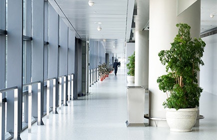 1652314448183 Shutterstock 142075003 1