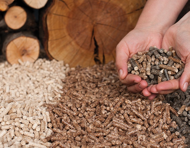 1652314593577 B 0914 Gf Biomass3nw