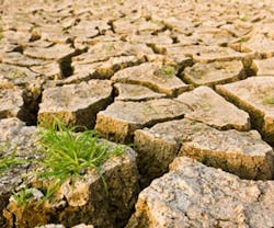 1652314830699 Grassindesert 1652314830699 Grassindesert