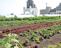 1652314963449 B 0514 Nymetro1 1652314963449 B 0514 Nymetro1