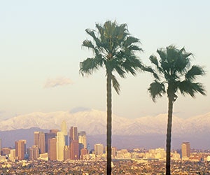 1652315155761 Ladrought