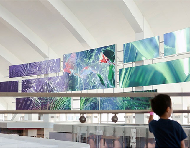 1652315295773 Laxstoryboard