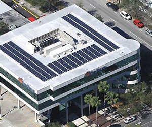 1652315605966 B 1013 Tem10