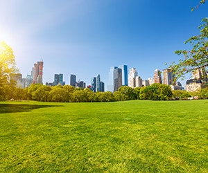 1652315831655 B 0713 Sunny Ny