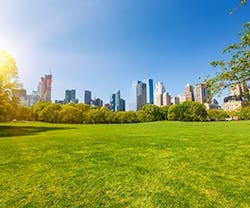 1652315831655 B 0713 Sunny Ny 1652315831655 B 0713 Sunny Ny