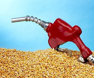 1652315987658 B 0713 Biomass