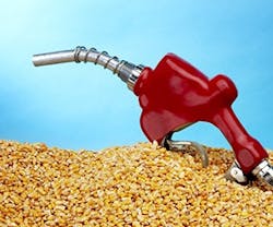 1652315987658 B 0713 Biomass 1652315987658 B 0713 Biomass