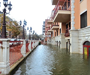 1652316014926 B Ny Metro12