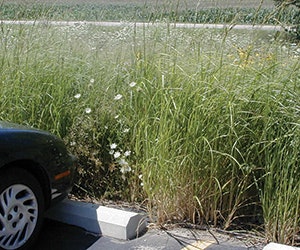 1652316072738 B 0513 Sustainability1