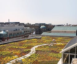 1652316202365 B 0413 Greenroofs1 1652316202365 B 0413 Greenroofs1