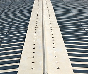 1652316298005 On Top On Target