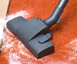 1652316641836 Carpet Soil