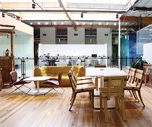 1652316700833 B 1112 Toxins Google1