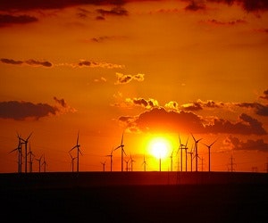 1652316930104 Shutterstock 109862969