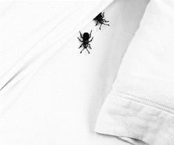 1652316990806 Shutterstock 48174811 1652316990806 Shutterstock 48174811