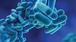 1652317013004 B 0812 Ashrae1 1652317013004 B 0812 Ashrae1