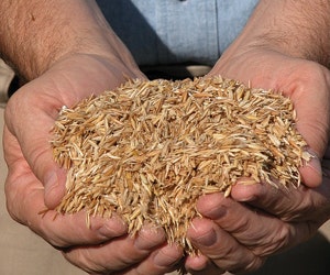 1652317045197 B 0812 Epm1