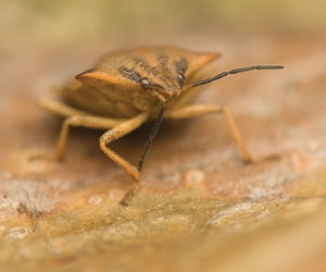 1652317062642 B 0812 Newsworthy1