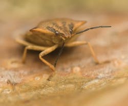 1652317062642 B 0812 Newsworthy1 1652317062642 B 0812 Newsworthy1