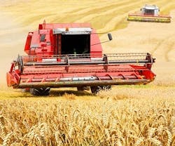 1652317092330 Shutterstock 103006172 1652317092330 Shutterstock 103006172