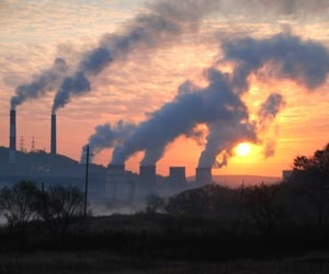 1652317137308 B 0712 News11