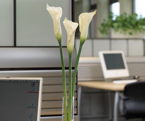 1652317299938 B 0612 Sustainability1