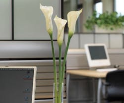 1652317299938 B 0612 Sustainability1 1652317299938 B 0612 Sustainability1