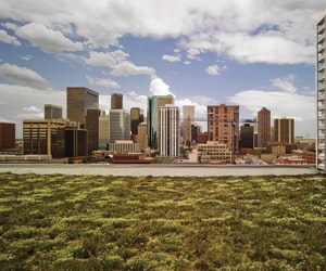 1652317502422 B 0412 Green Cost9