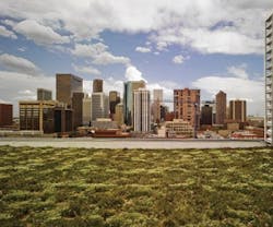 1652317502422 B 0412 Green Cost9 1652317502422 B 0412 Green Cost9