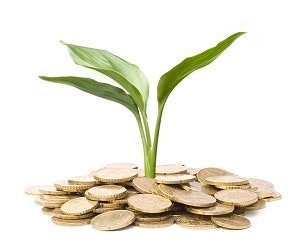 1652317616073 Roigoinggreen