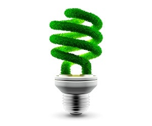 1652317799259 Greenelectricityfromplants