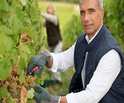 1652317920294 Landscapepruningmulching 1652317920294 Landscapepruningmulching