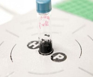 The Future of Fuel Cells? Buildings