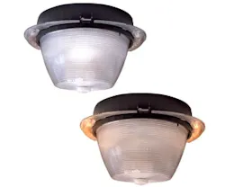 1652318461691 B 0911 Products Everlast 1652318461691 B 0911 Products Everlast