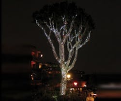 1652318463510 B 0911 Products Americanlighting 1652318463510 B 0911 Products Americanlighting