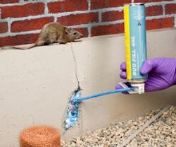 1652318634448 B 0811 Atm Pd Todolproductsrodentcontrolfoam 1652318634448 B 0811 Atm Pd Todolproductsrodentcontrolfoam