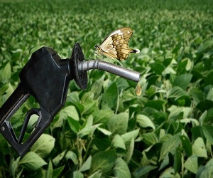 1652318670639 Obamabiofuels