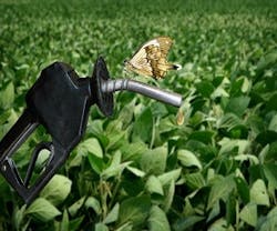 1652318670639 Obamabiofuels 1652318670639 Obamabiofuels